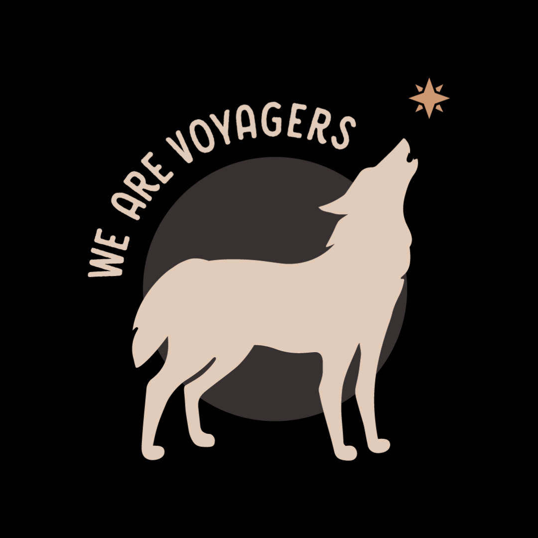 Logo We are voyagers
