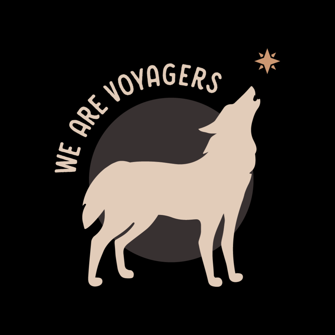 We are voyagers